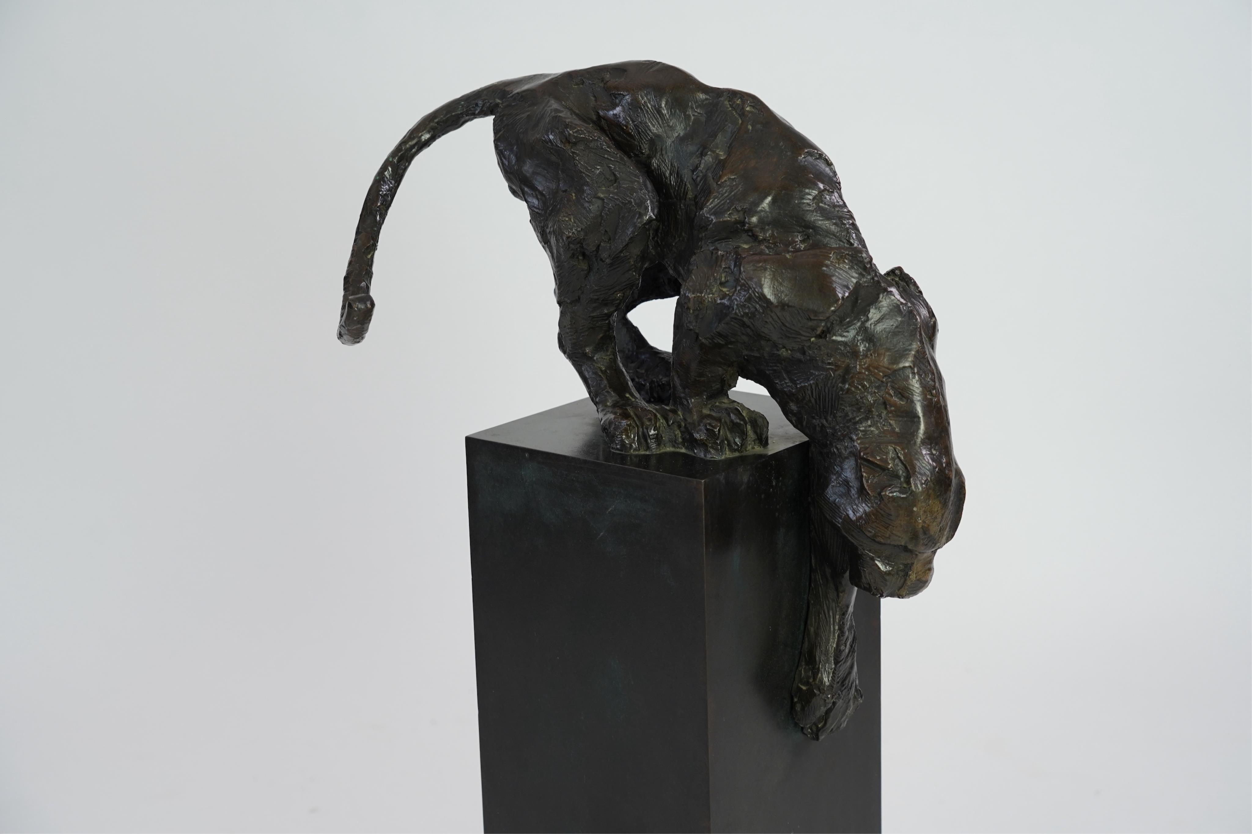 Kate Denton (b. 1954), 'Panther'